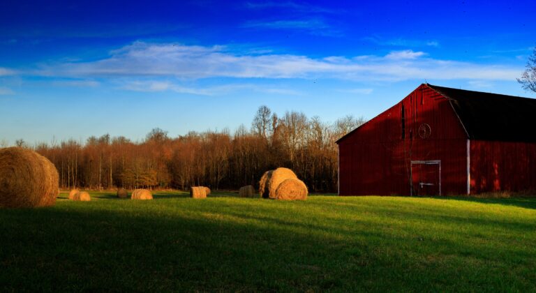 Farmhouse (1 of 1)